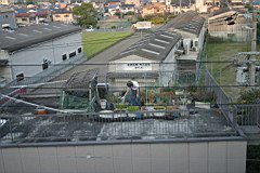 01-Day-Osaka25.JPG